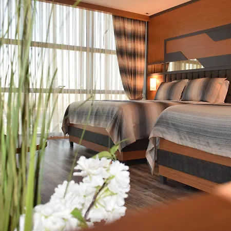Grand Rimedya Bursa 3* Panayir