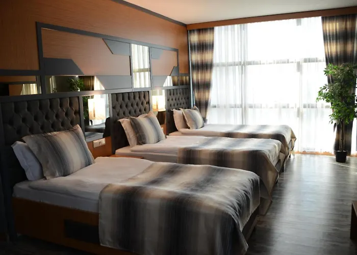 Grand Rimedya Bursa 3* Panayir
